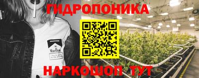 дурь Будённовск