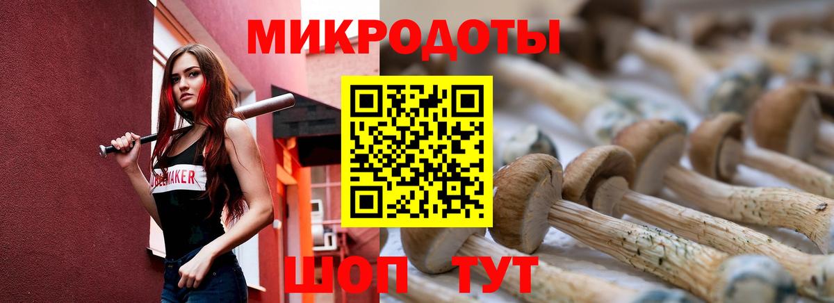 Псилоцибиновые грибы мицелий Ростов Великий